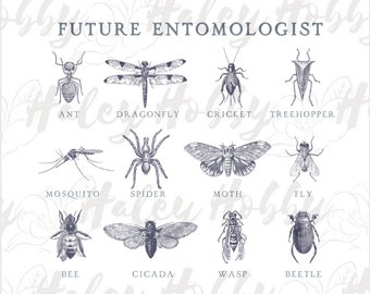 Futur entomologiste Bug noms tout-petit garçon fille sketch Shirt 2 Sided Set PNG, Heat Press, Téléchargement numérique, Sublimation Télécharger