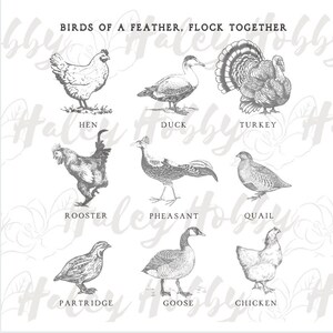 Birds of a Feather Flock Together Boy Girl Shirt 2 Sided Set PNG, Heat Press, Digital Download, Sublimation Download, Instant Download