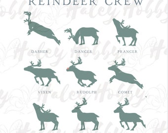 Reindeer Crew Names Santa Christmas Holiday Toddler 2 sided Shirt PNG, Heat Press, Digital Download, Sublimation Download