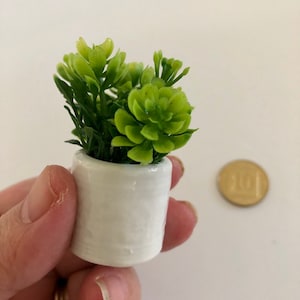 1/6 dollhouse miniature - beautiful green plant for your dollhouse