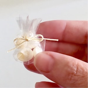 1/12 Dollhouse Miniature - seashells - package decor - for everyone who loves the sea