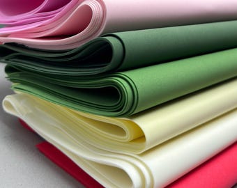 1mm EVA Foam Sheets Set of 5, Thin Craft Foam Paper for Real Flowers Making, Floral Supplies 7 Colors Option, 12x28 inch (30 x 70 cm)