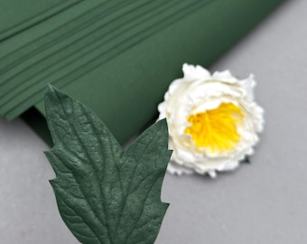 Forest Green Craft Foam Sheets Set of 10, Extra Thin EVA Foam 1mm, Large 30x70 cm Sheets for Flower Leaves, DIY Floristry Supply