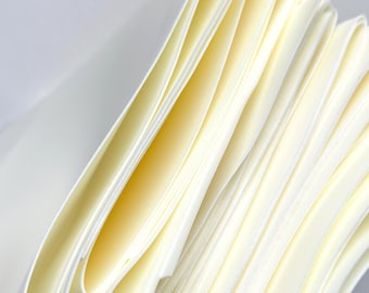 10 Foam EVA IVORY Sheets 0.8-1mm, 12x28", 30x70cm, Set of 10 Colors for Realistic Flowers, Large Thin Craft Sheets for DIY Floristry & Craft