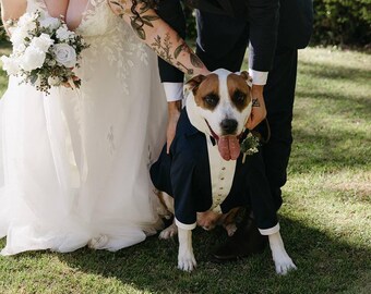 Navy Blue Dog Tuxedo: Custom Wedding Suit with Bow Tie