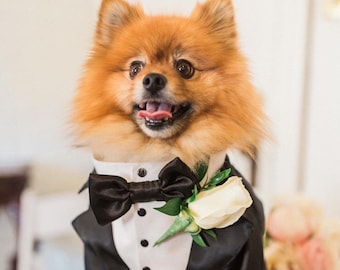 Black dog tuxedo Pomeranian spitz suit Black dog suit Luxury dog outfit Custom dog suit Birthday dog costume Dog wedding ring bearer