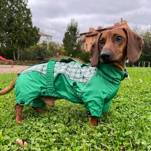 Bright Green Waterproof Dog Raincoat with Plaid Accents for Dachshunds and Other Breeds