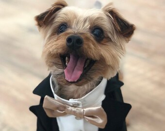 Bespoke Black Dog Tuxedo: Beige Bow Tie, Formal Wedding Attire