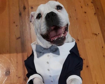 Black Dog Tuxedo with Gray Bow Tie: Custom Wedding Outfit