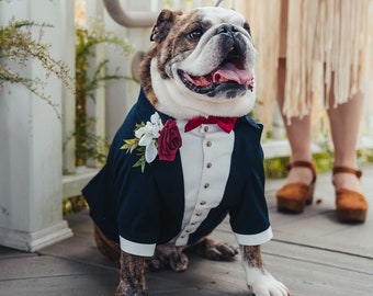 Bulldog custom tuxedo Navy blue dog tuxedo with burgundy bow tie Dog wedding attire Formal dog suit English bulldog suit