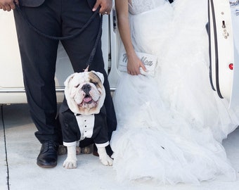 Black wedding dog suit  Bespoke dog tuxedo English bulldog suit Luxury dog outfit Customized dog suit Birthday dog costume Dog wedding suit