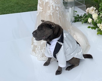 Custom Ivory Dog Tuxedo: Wedding Formal Wear