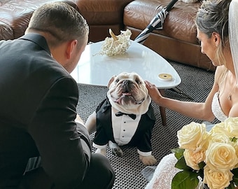 Custom Dog Tuxedo with Bow Tie: Formal Wedding Costume