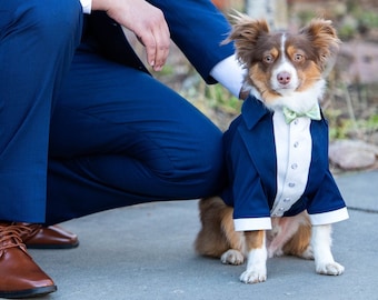 Navy dog tuxedo with sage green bow tie Dog wedding tuxedo Formal dog suit English bulldog bespoke tuxedo Birthday dog suit Custom dog tux