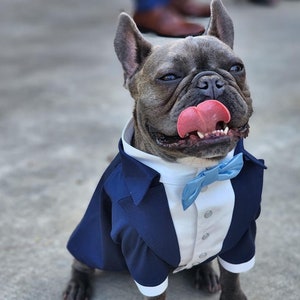 Navy blue dog tuxedo with light blue bow tie French bulldog tuxedo Dog wedding attire Formal dog suit Birthday dog costume