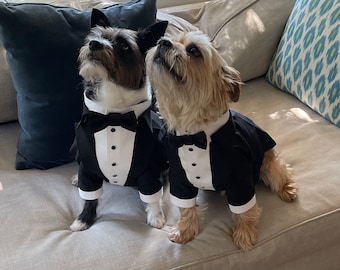 Custom Wedding Dog Tuxedo: Formal Black Satin Suit