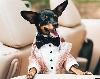 Golden rose sequins dog tuxedo with black bow tie Dog wedding attire Formal dog suit Swallow-tailed dog coat Birthday dog Custo made dog tux