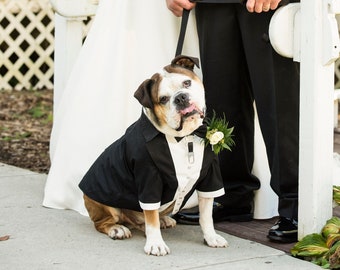 Custom Fit Dog Tuxedo: Black Satin Wedding Outfit