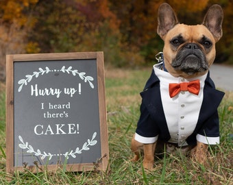 Navy blue dog tuxedo with orange bow tie French bulldog suit Dog ring bearer bespoke tuxedo Birthday dog suit Custom dog tux