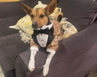 Golden beige dog tuxedo Wedding dog suit Red carpet dog outfit Custom dog tuxedo with black bow tie and black lapels