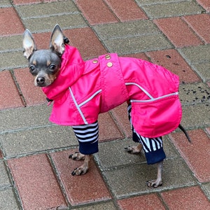 May include: A small, gray and black dog wearing a pink raincoat with black and white stripes on the sleeves. The dog is standing on a gray and red brick patio.
