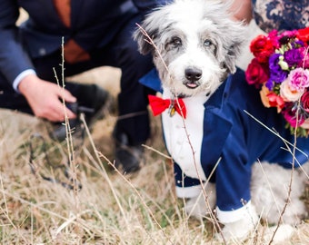 Navy blue dog tuxedo with red bow tie Dog wedding formal suit Luxury dog tuxedo Birthday dog costume Custom dog suit