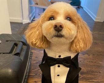 Custom Black Satin Dog Tuxedo, Wedding Ring Bearer Outfit, Formal Dog Attire