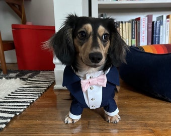 Dachshund navy dog tuxedo with blush bow tie Dog wedding attire Formal dog suit Birthday dog suit Custom dog tux