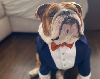 English bulldog wedding tuxedo Navy blue dog suit with terra-cotta bow tie Dog ring bearer Birthday dog suit Custom dog tuxedo