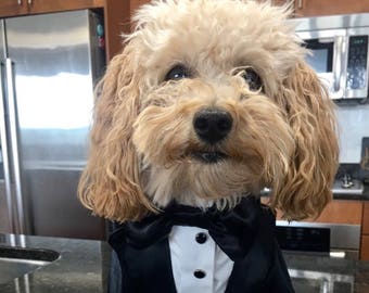 Wedding tuxedo for dogs Formal dog tuxedo Custom made dog suit Shiny wedding attire for dog