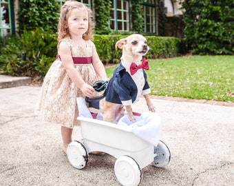 Puede incluir: Una niña pequeña con un vestido de encaje beige y una faja roja empuja un carro blanco con un perro pequeño que lleva un esmoquin azul y una pajarita roja.