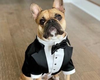 Black wedding dog tuxedo French bulldog suit French bulldog suit Luxury dog outfit Custom dog suit Birthday dog costume Dog wedding attire