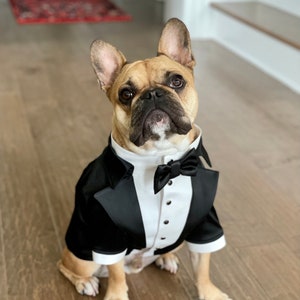 Black wedding dog tuxedo Yorkshire dog suit Black dog suit Luxury dog outfit Custom dog suit Birthday dog costume Dog wedding attire image 7