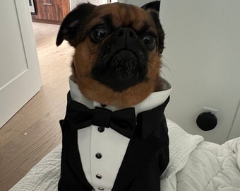 Black Dog Tuxedo with Bow Tie: Custom Wedding Outfit