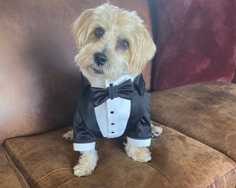 Black wedding dog tuxedo Yorkshire dog suit Black dog suit Luxury dog outfit Custom dog suit Birthday dog costume Dog wedding attire