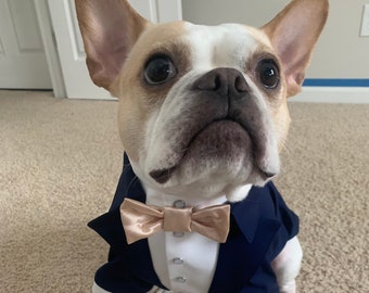 Navy dog tuxedo with champagne bow tie Dog wedding attire Formal dog suit French bulldog bespoke tuxedo Birthday dog suit Custom dog tux