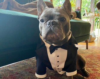 Navy blue dog tuxedo with black lapels and black satin bow French bulldog suit Formal dog suit Birthday dog costume Luxury dog outfit