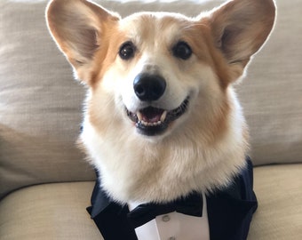 Black dog tuxedo Corgi dog wedding suit Formal dog suit Bespoke dog suit