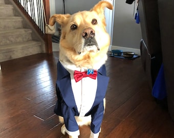 Navy blue dog tuxedo with burgundy bow tie  Labrador dog suit Retriever dog tuxedo Formal suit for dog Birthday dog costume Bespoke suit