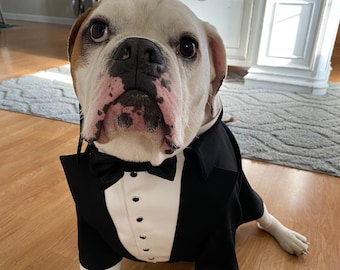 Custom Dog Tuxedo: Formal Wedding Outfit, Made-to-Order Dog Suit