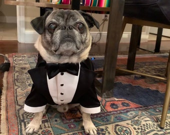 Black wedding dog tuxedo Formal dog suit Pug suit Luxury dog outfit Customized dog suit Birthday dog costume Dog wedding attire Frenchie dog