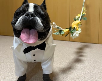 French bulldog ivory wedding suit Formal dog tuxedo Custom made dog suit White tuxedo for dog Birthday dog costume Bespoke dog suit