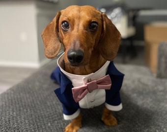 Navy dog tuxedo with dusty pink bow tie Dachshund tuxedo Formal dog suit Birthday dog costume Bespoke dog suit Mini dachshund suit