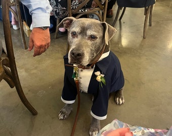 Navy Blue Dog Tuxedo with Bow: Custom Formal Dog Suit