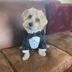 Black wedding dog tuxedo Yorkshire dog suit Black dog suit Luxury dog outfit Custom dog suit Birthday dog costume Dog wedding attire image 1