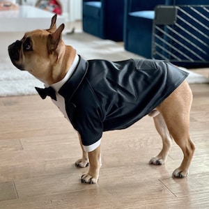 Black wedding dog tuxedo French bulldog suit French bulldog suit Luxury dog outfit Custom dog suit Birthday dog costume Dog wedding attire