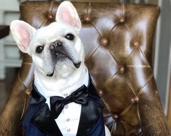 Royal blue dog tuxedo with black lapels and black satin bow tie Dog wedding attire Formal dog suit Birthday dog costume