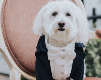 Navy blue dog tuxedo with white satin bow tie Maltese dog wedding attire Formal dog suit Birthday dog costume Birthday dog