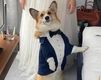 Corgi suit jacket cheap