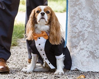 Navy blue wedding dog tux Custom made dog wedding attire Dog formal suit Elegant dog costume Birthday dog Royal blue dog tux